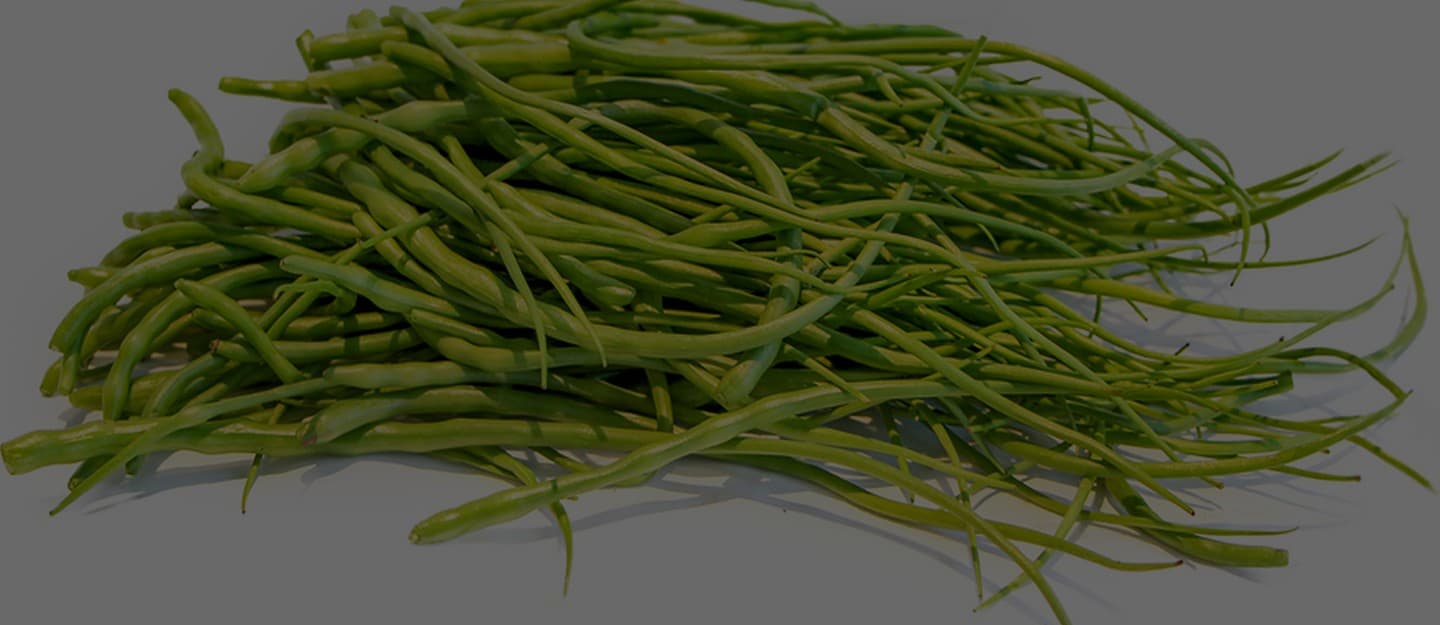 Sangri: The Desert Bean That Defines Rajasthan’s Flavours